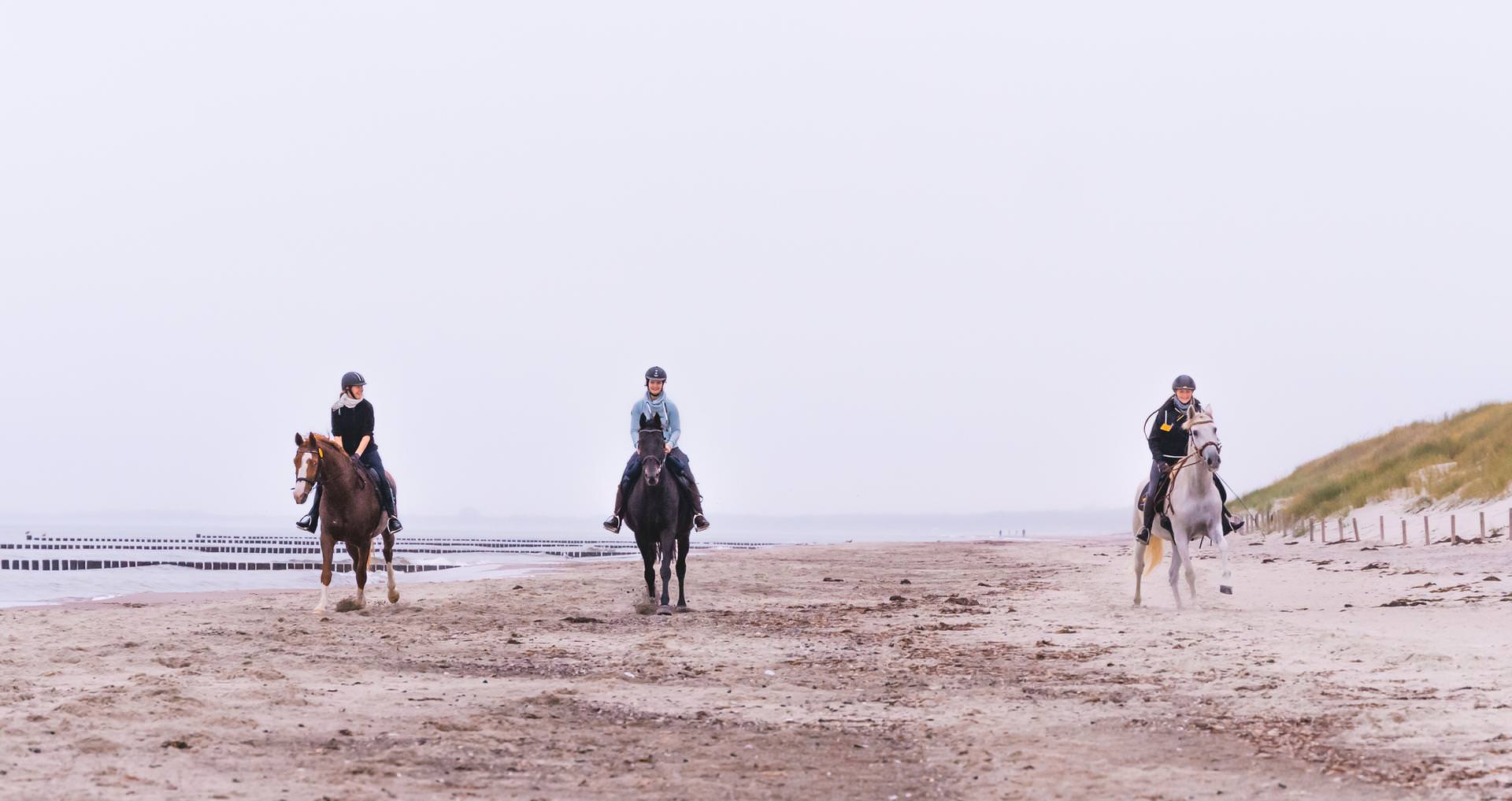 Reiten in Mecklenburg-Vorpommern