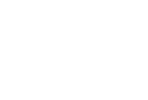 KSM SIS Schwerin